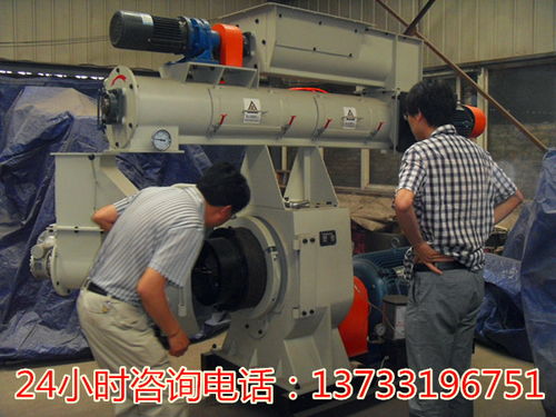 廣東江門飼料顆粒成型機(jī)價(jià)格解析與生物質(zhì)燃料加工應(yīng)用