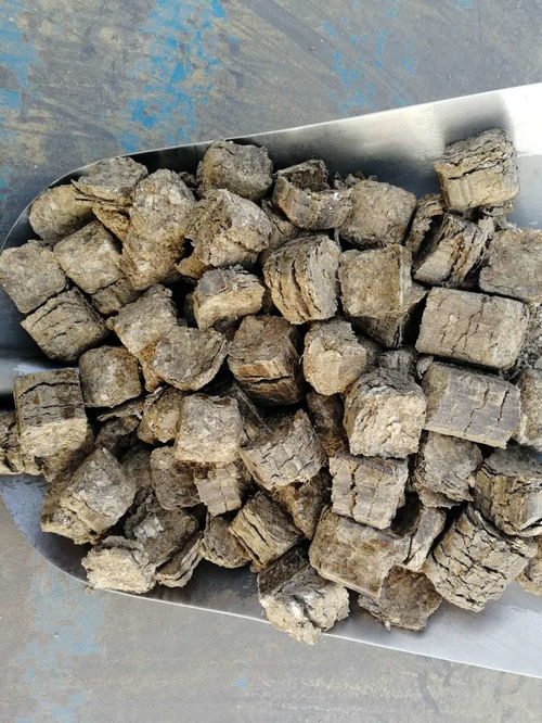 綠色能源新篇章 河南周口環(huán)保鍋爐生物質(zhì)燃料的革新之路