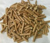 綠色能源新勢(shì)力 漳州生物質(zhì)顆粒燃料生產(chǎn)廠引領(lǐng)優(yōu)質(zhì)燃料加工